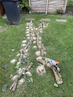 IMG_7753.jpeg