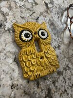 IMG_2040.jpeg