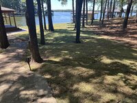 IMG_9381.jpeg IMG_9381.jpeg