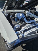 20250926_103748.jpg