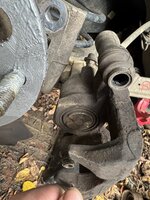 IMG_3077.jpeg
