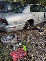 IMG_3075.jpeg