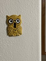 IMG_2043.jpeg