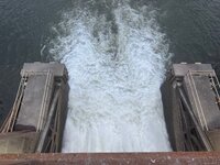 IMG_2286.jpeg IMG_2286.jpeg