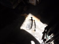 DSCF8864.JPG