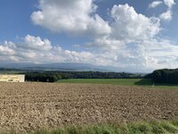 IMG_0966.jpeg