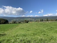 IMG_1077.jpeg