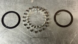IMG_6557.jpeg