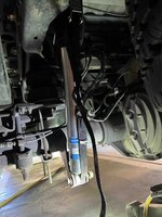 IMG_9727.jpg