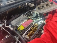 rdx2.jpg