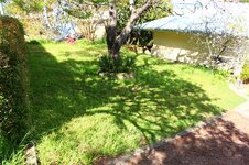 IMG_2388.jpg