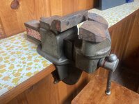 IMG_4337.jpeg