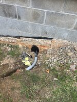 IMG_9407.jpeg