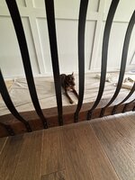 IMG_5709.jpeg