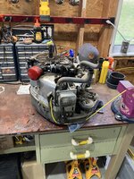 IMG_5903.jpeg