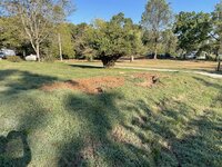 IMG_3132.jpg