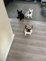 IMG_0056.jpeg