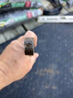 IMG_1671.jpeg