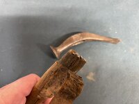 IMG_7989.jpeg