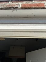 IMG_7285.jpeg IMG_7285.jpeg