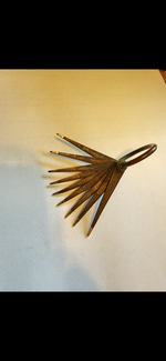 IMG_7079.png