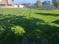 yard2.jpg yard2.jpg