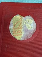 IMG_3616.jpeg