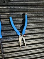 IMG_1684.jpeg