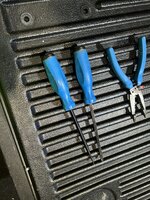 IMG_1685.jpeg