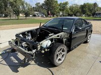 IMG_1213.jpeg