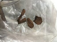 IMG_1347.jpeg