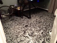 Metallix-Angel-Wings-Basecoat-With-Black-Number-One-Effect-3-Lg.jpg