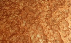 Metallix-Autumn-Blush-Basecoat-With-Gold-Lion-Effect-Closeup-Lg.jpg