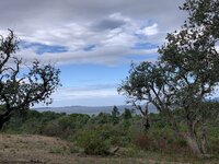 IMG_2676.jpeg