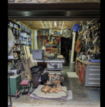 garage dog.png