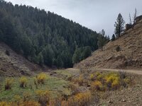 vac25.jpg