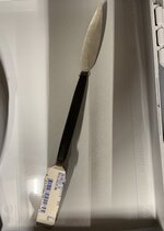 IMG_2886.jpeg