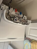 IMG_2223.JPEG