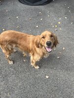 IMG_2413.jpeg