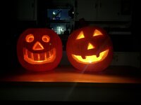 IMG_2040.jpeg IMG_2040.jpeg