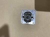IMG_8382.jpeg IMG_8382.jpeg