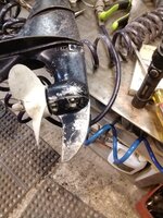 IMG_20251101_121605.jpg