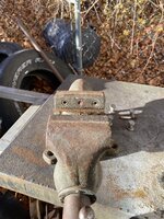IMG_6796.jpeg