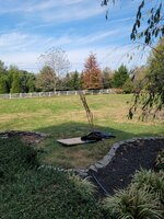20251102_102007.jpg 20251102_102007.jpg