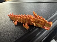 IMG_1858.jpeg