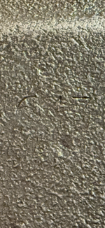 IMG_8791.png