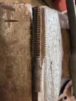 IMG_4314.jpeg