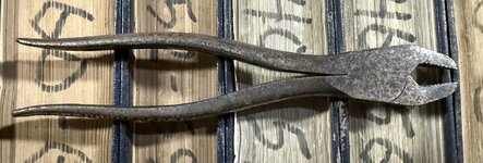 IMG_3253.jpeg