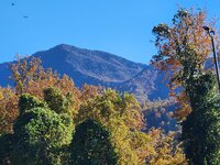 20251105_145438.jpg 20251105_145438.jpg