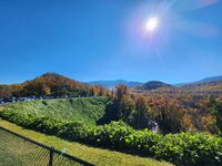 20251105_113753.jpg 20251105_113753.jpg
